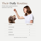 Promotional graphic for a dog supplement titled 'Their Daily Routine' on a light warm-gray background. A woman in a white T-shirt is shown giving a treat to a brown dog, with a table below listing dog weights and corresponding daily chews counts.
