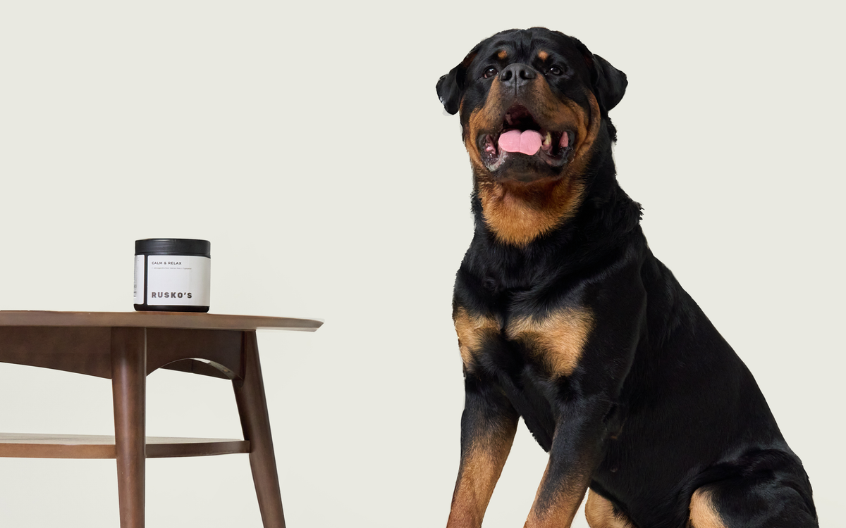 Calming support chews