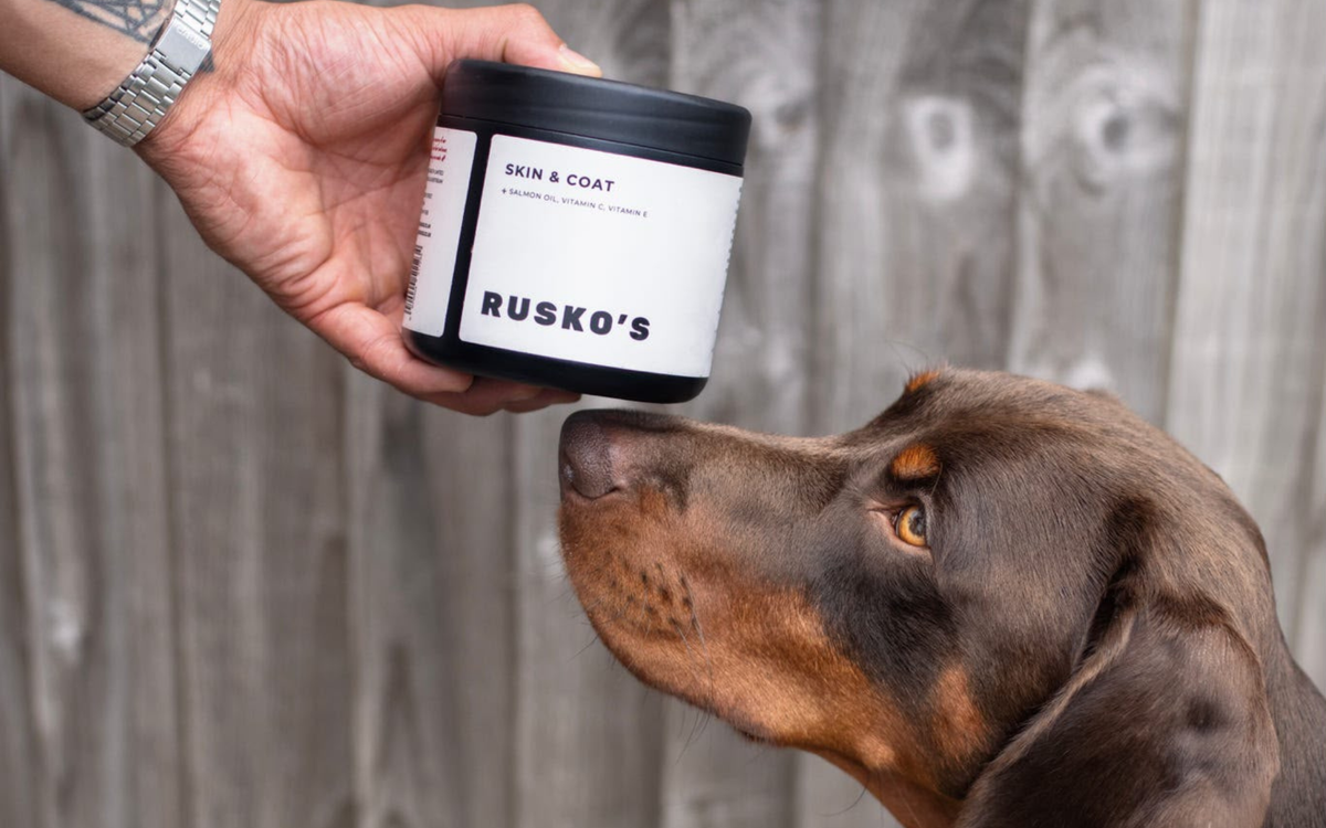 Skin and coat chews