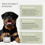 Calm & Relax Chews