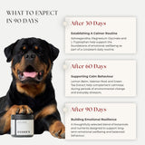 Calm & Relax Chews