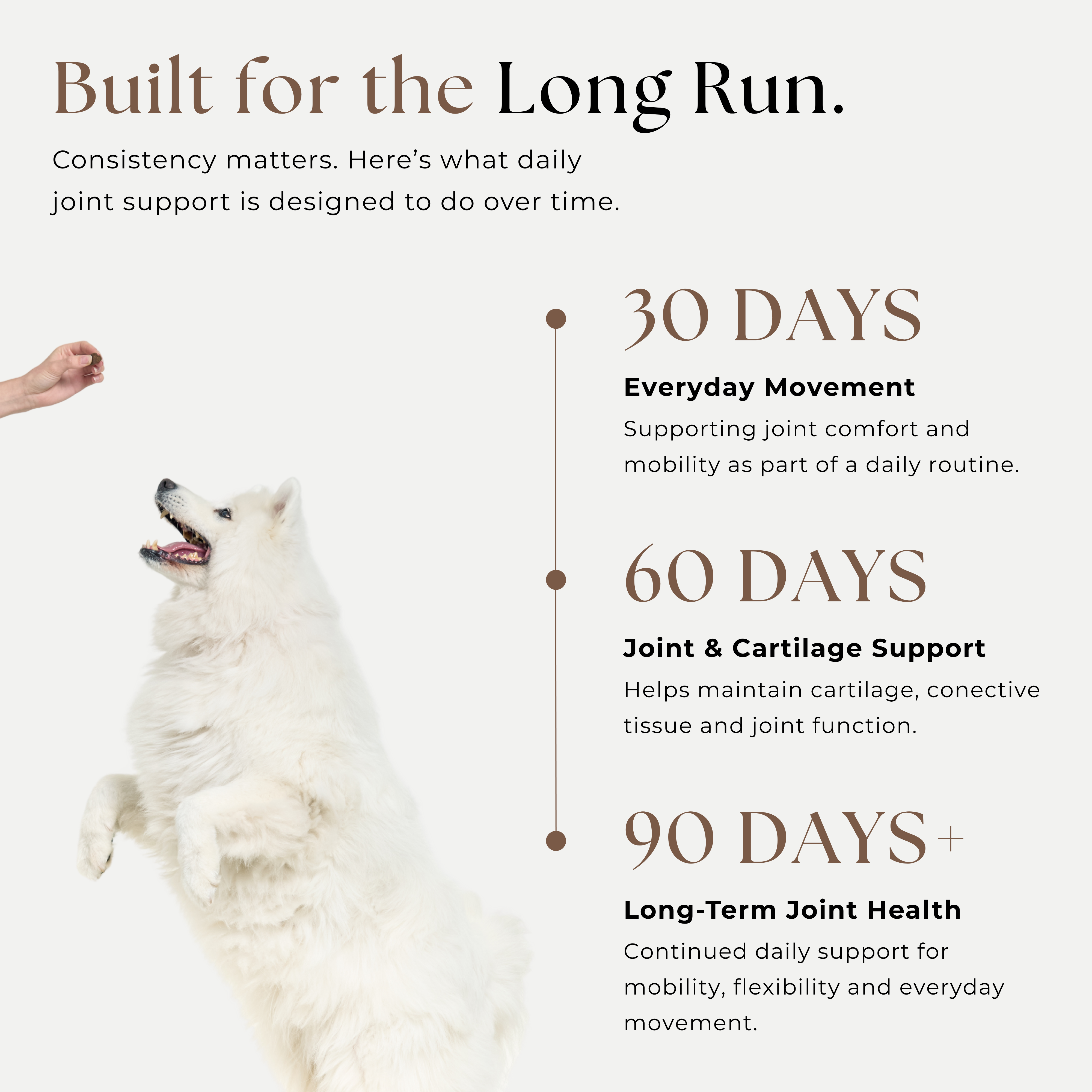 Close-up of RUSKO'S Joint & Bone dog supplement chews