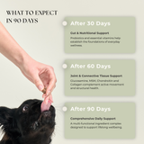 Multivitamin Chews