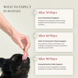Multivitamin Chews