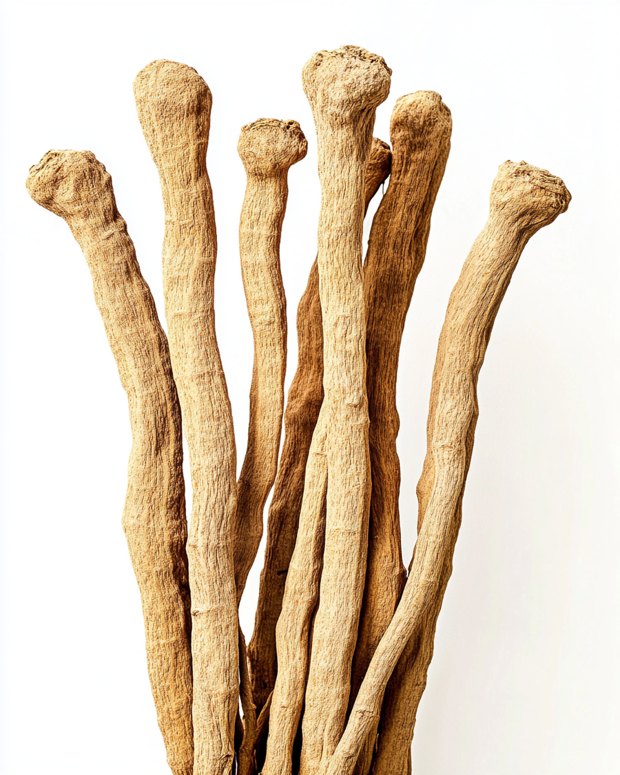 ASHWAGANDHA ROOT