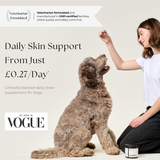 Skin & Coat Chews